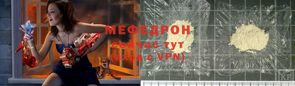 прущие грибы Абаза