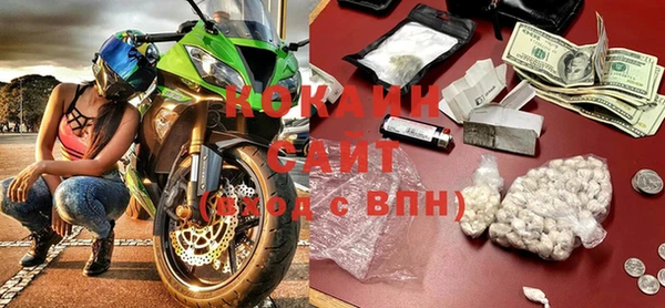 прущие грибы Абаза
