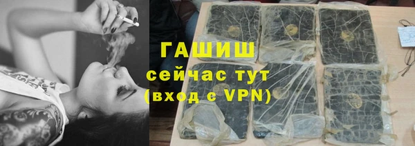 прущие грибы Абаза