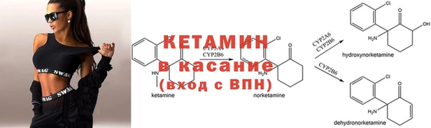 прущие грибы Абаза