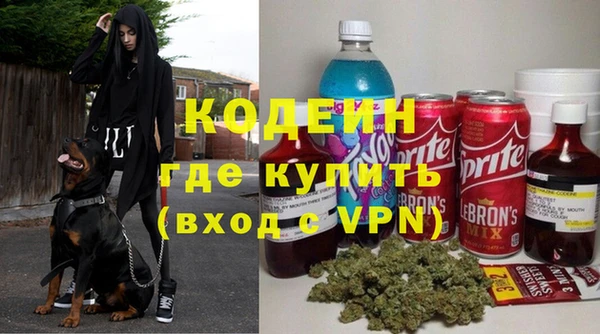 прущие грибы Абаза