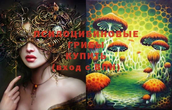 PSILOCYBIN Россошь