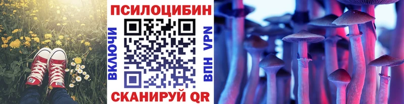 Псилоцибиновые грибы мицелий  купить наркотик  Галич 