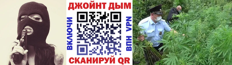 даркнет состав  Галич  Марихуана семена 